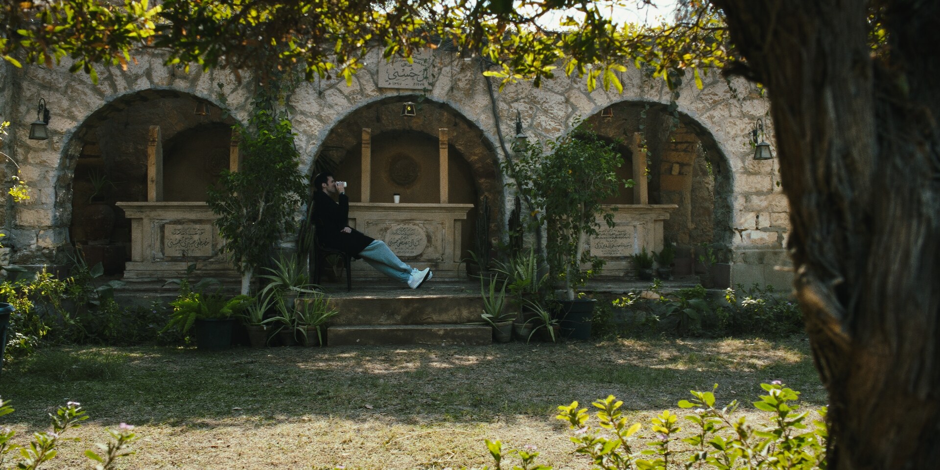 image 8