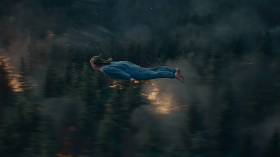 If I Could Fly